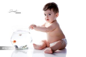 تنگ ماهی نوروزی در دکور سفید آتلیه کودک