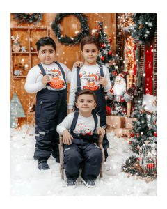 عکس دوقلوها در تم کریسمس آتلیه کودک